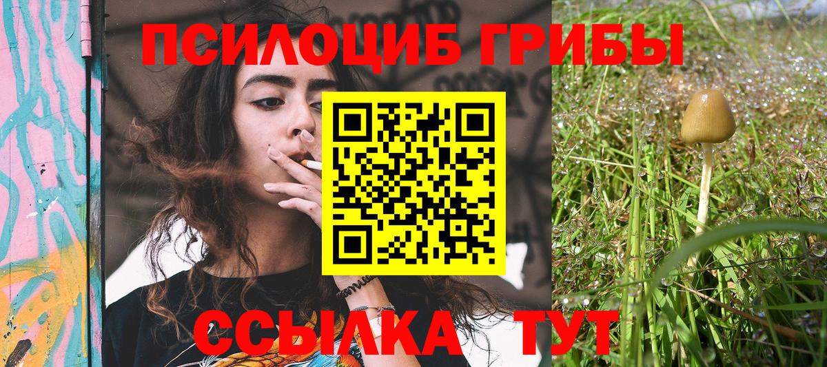Галлюциногенные грибы ЛСД Берёзовский